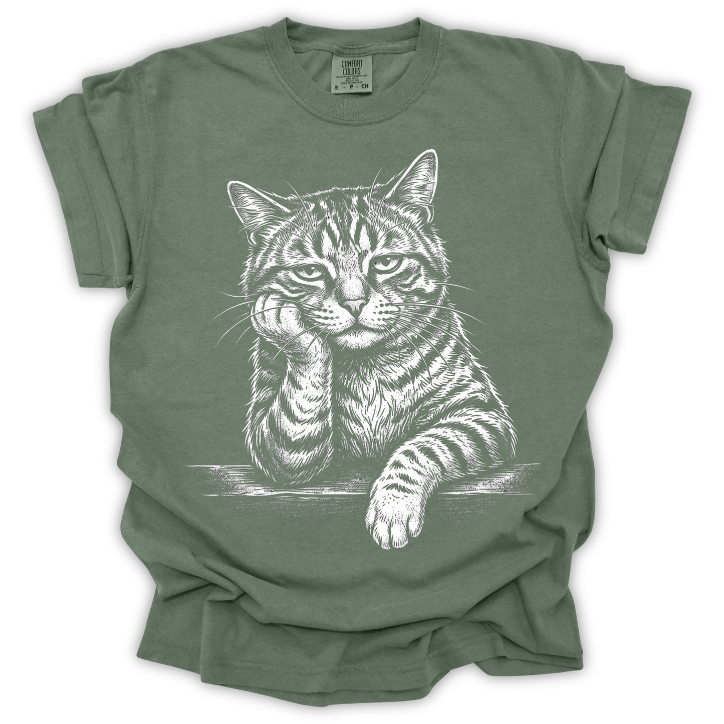 Bored Tabby Cat
