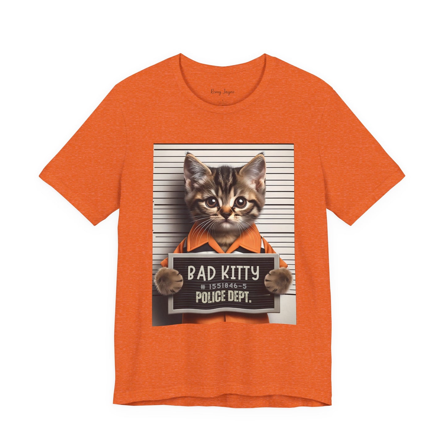 Bad Kitty