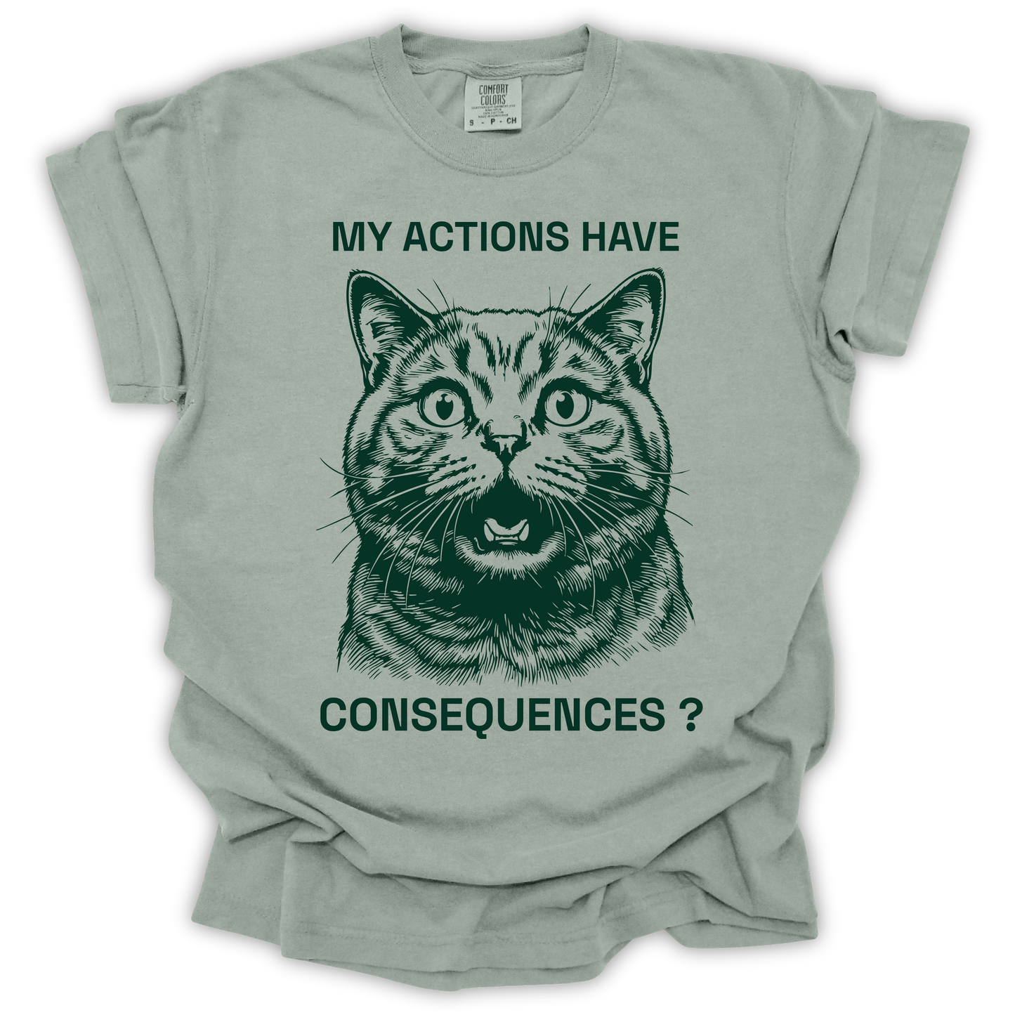 Cat Consequences
