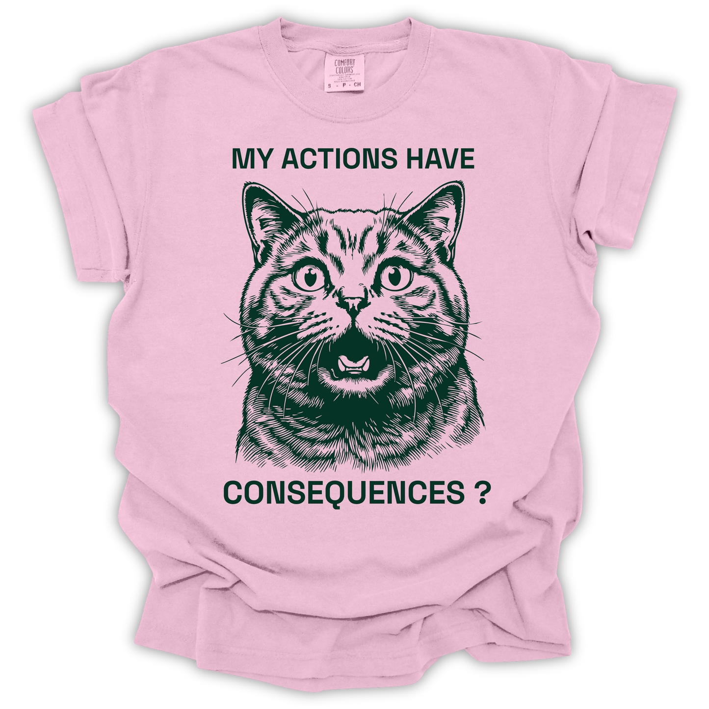 Cat Consequences