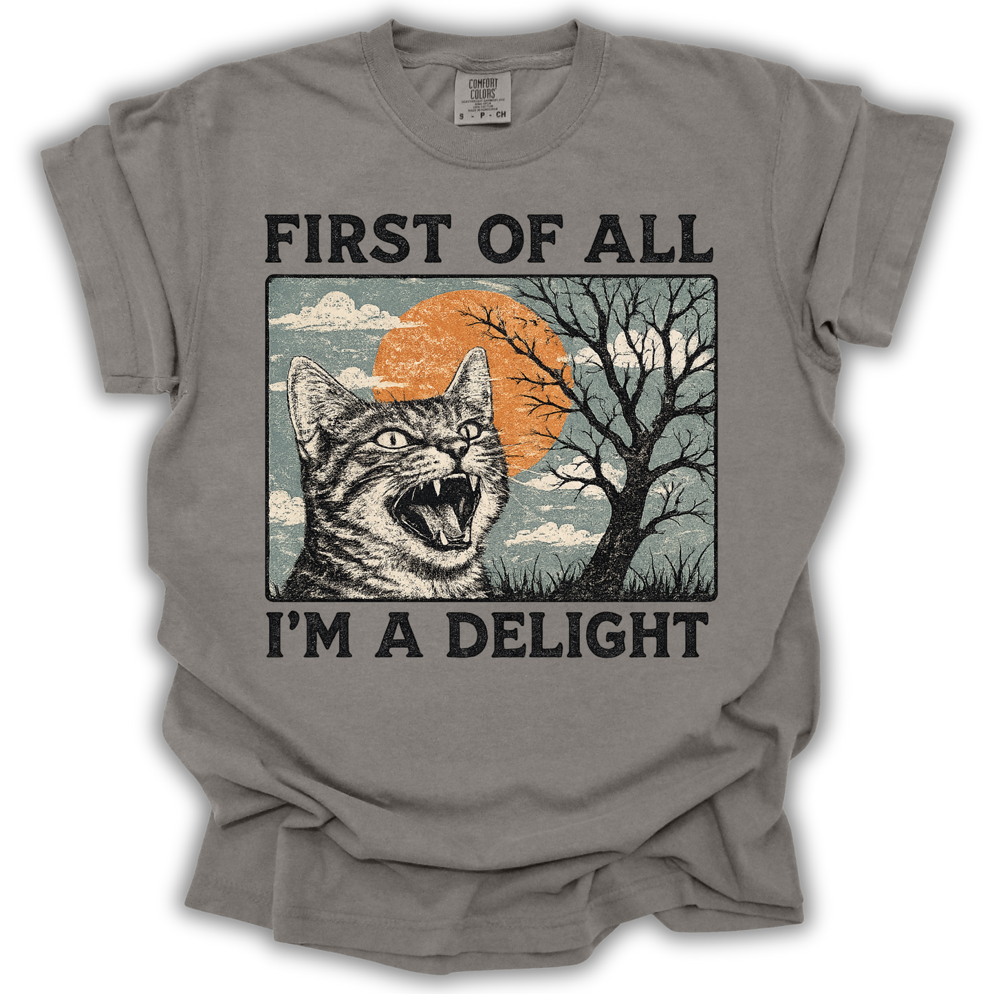 First of All I'm a Delight