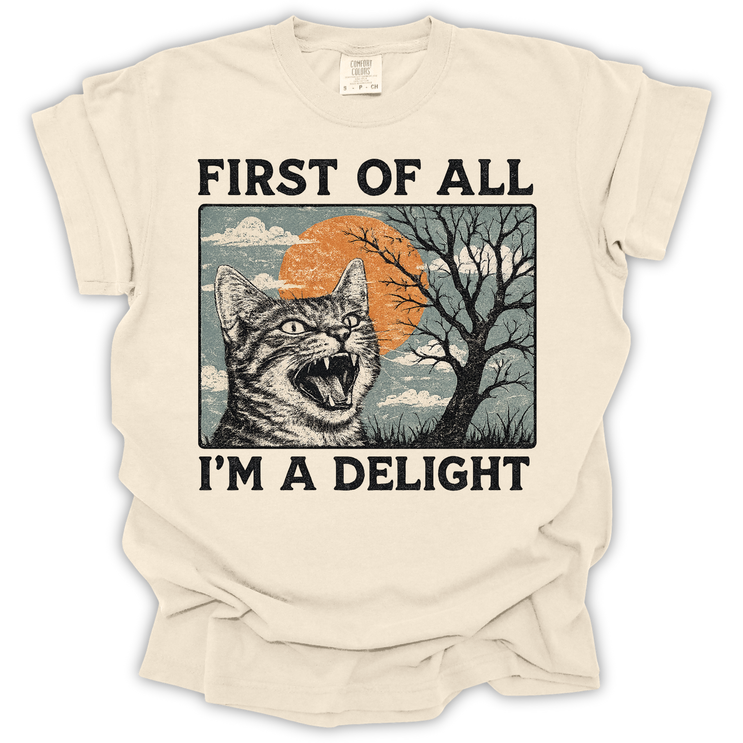 First of All I'm a Delight