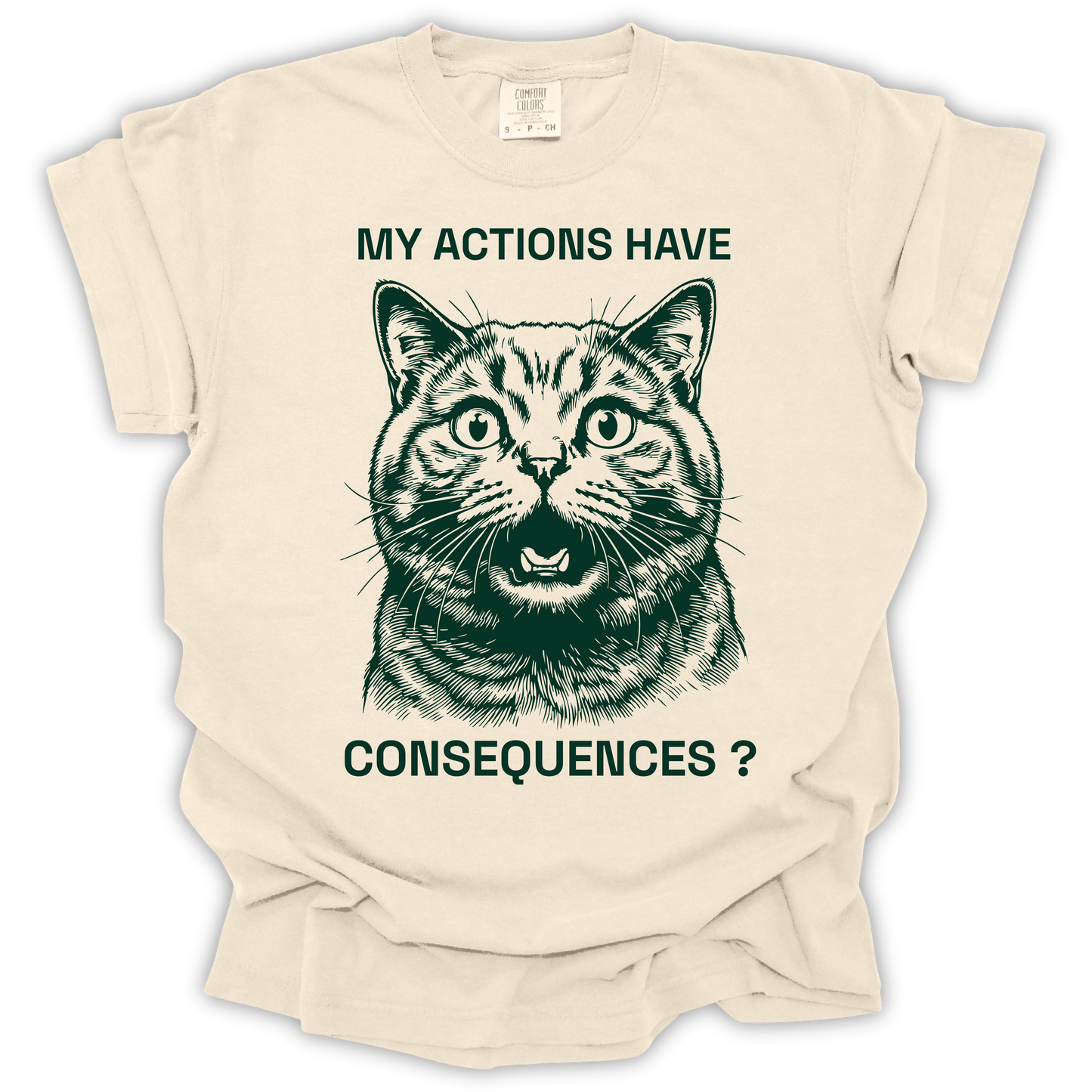 Cat Consequences