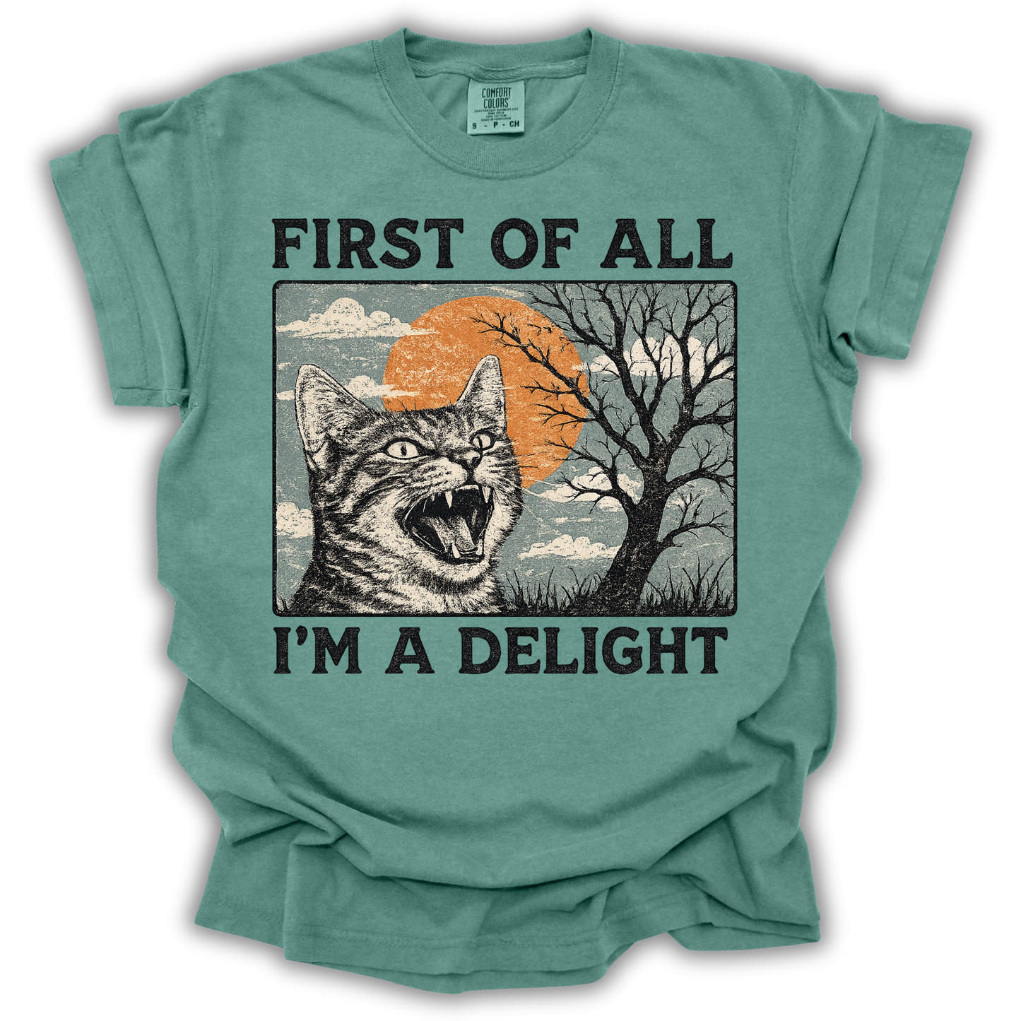 First of All I'm a Delight
